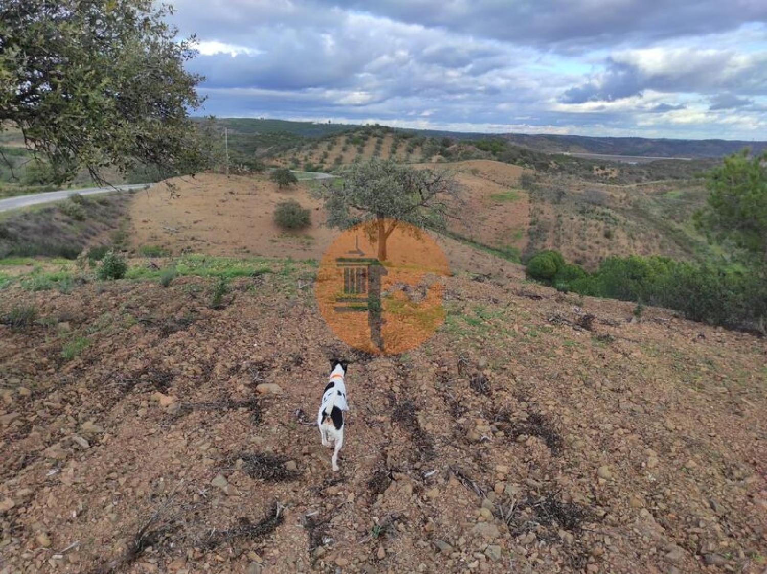  te koop terrein Azinhal Albufeira 3
