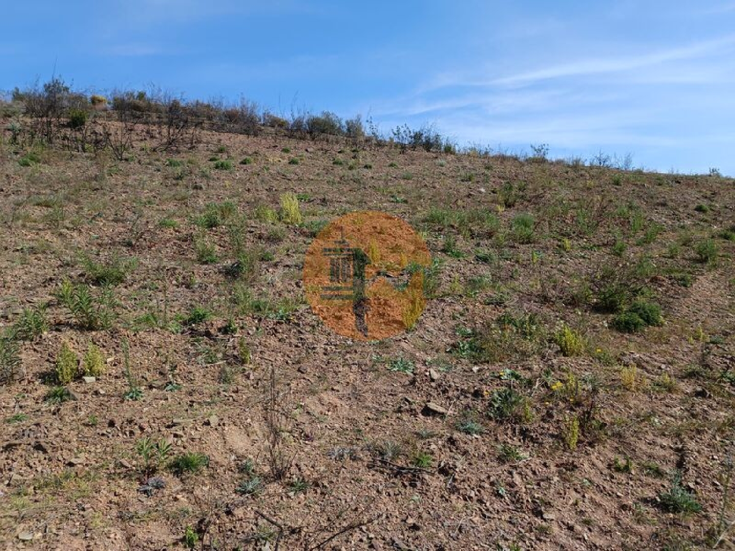  te koop terrein Azinhal Albufeira 5