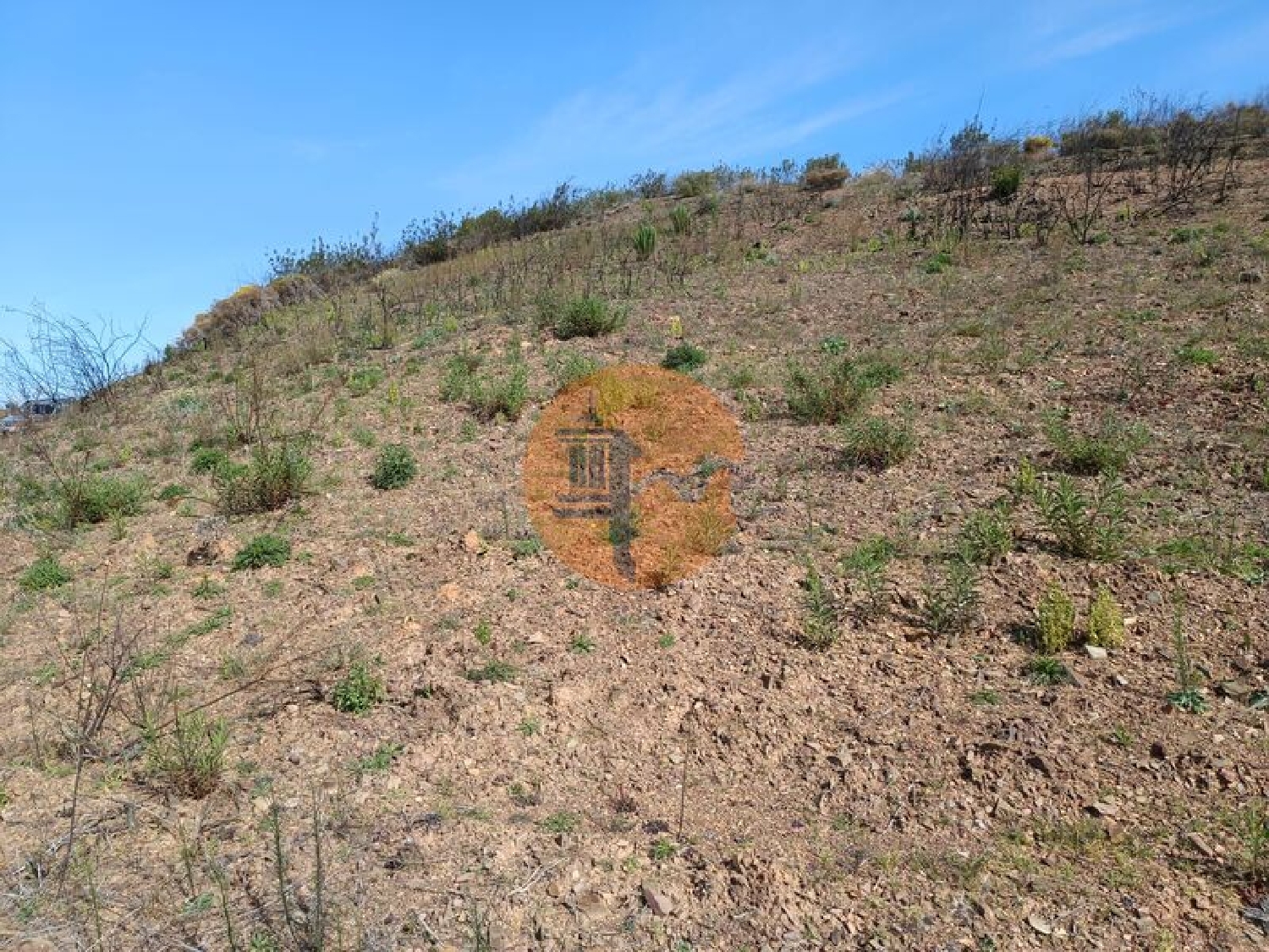  te koop terrein Azinhal Albufeira 7
