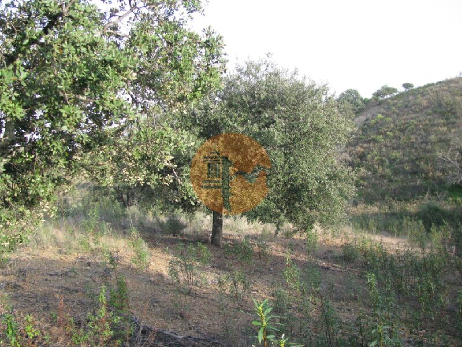  te koop terrein Azinhal Albufeira 2