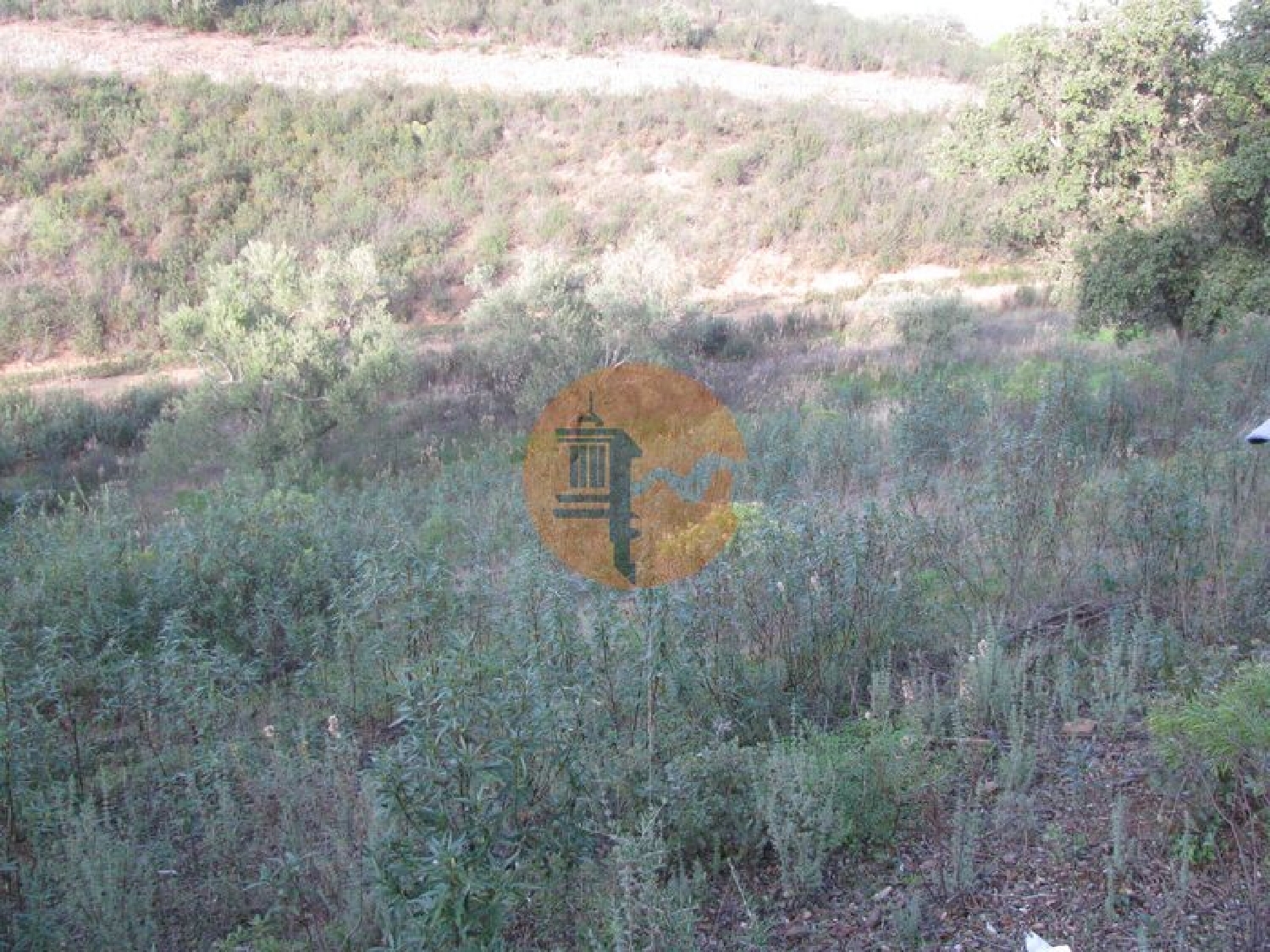  te koop terrein Azinhal Albufeira 6