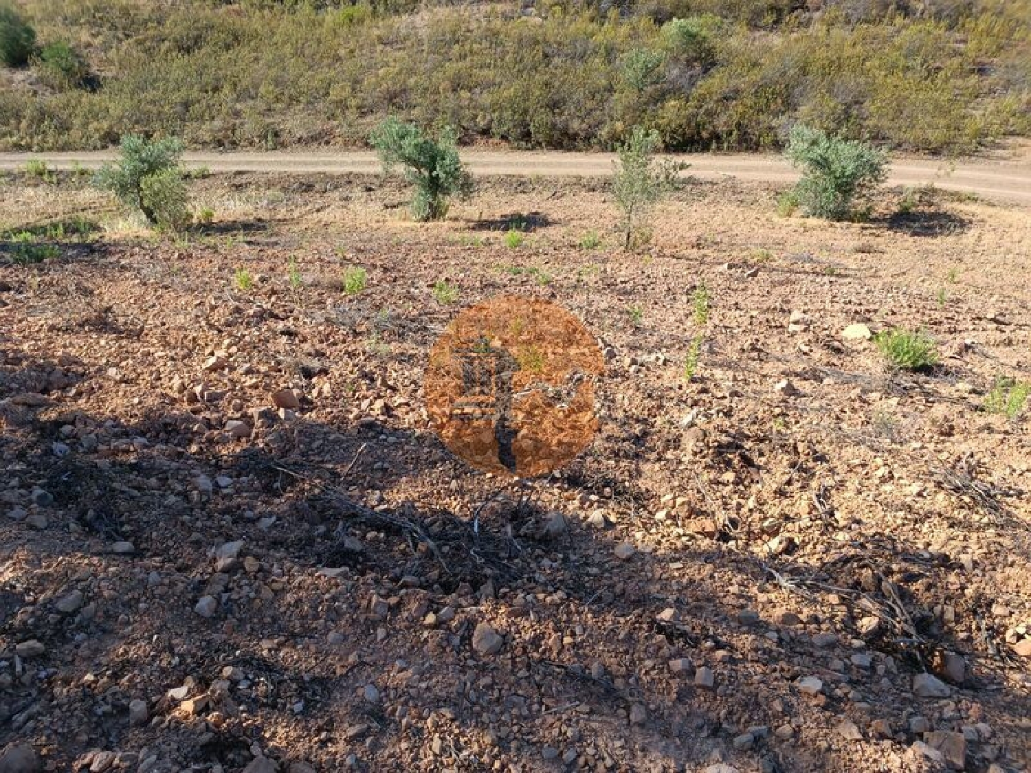  te koop terrein Azinhal Albufeira 8