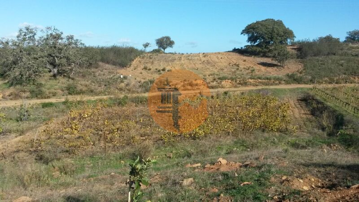  te koop terrein Azinhal Albufeira 3