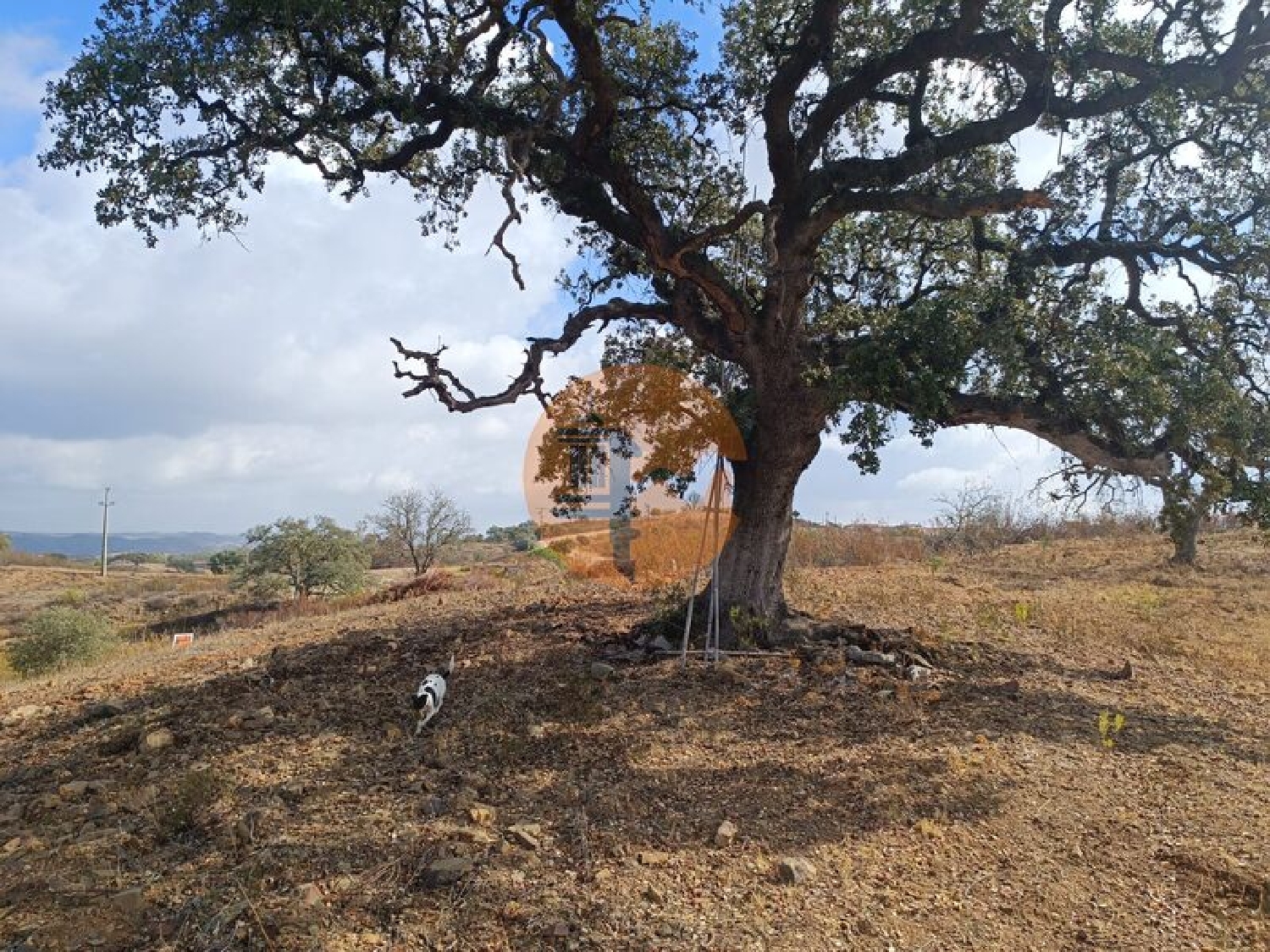  te koop terrein Azinhal Albufeira 5