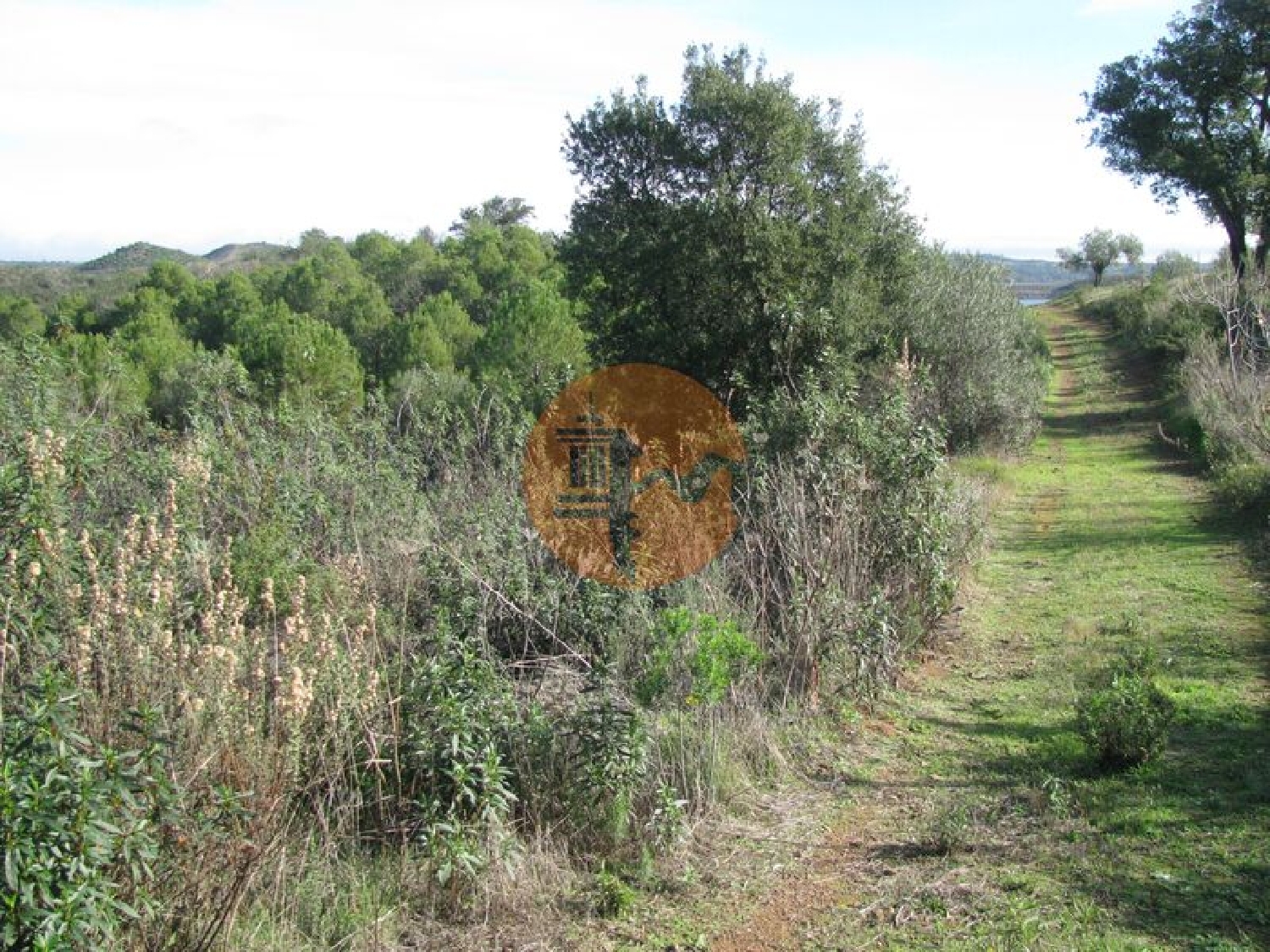  te koop terrein Azinhal Albufeira 5