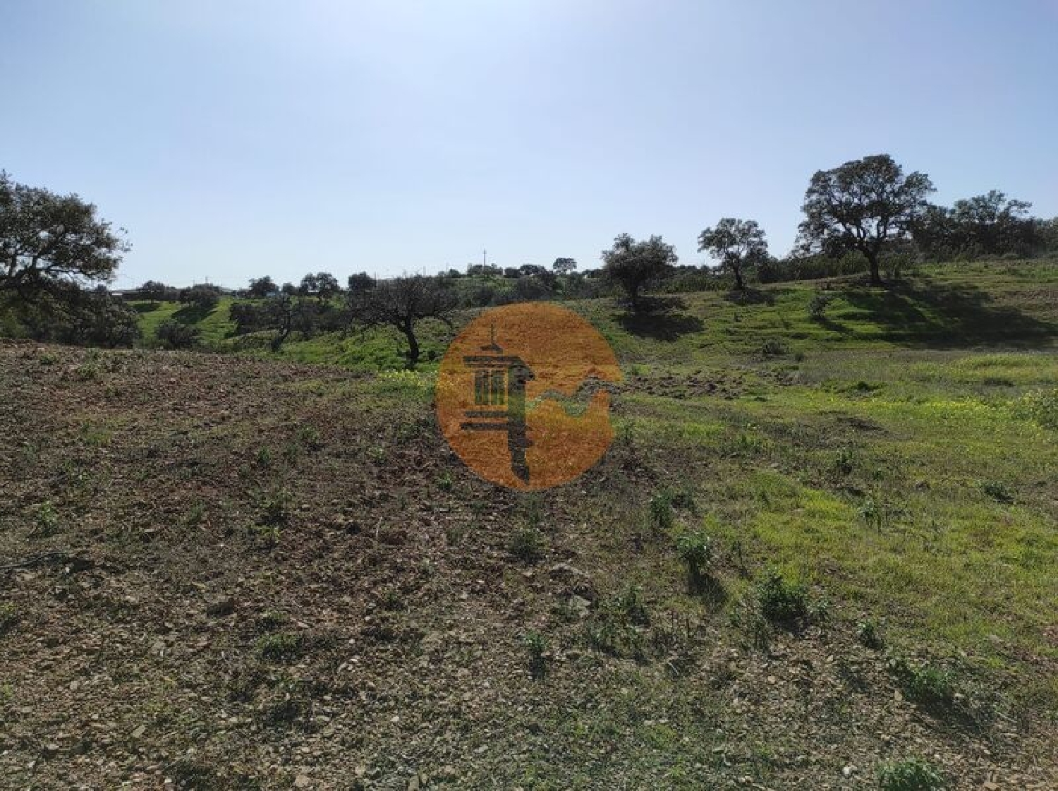  te koop terrein Azinhal Albufeira 8