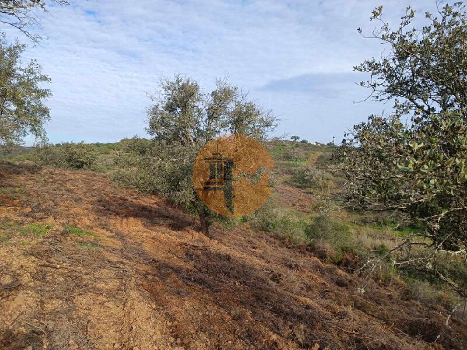  te koop terrein Azinhal Albufeira 5