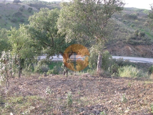 Azinhal Albufeira tomt foto