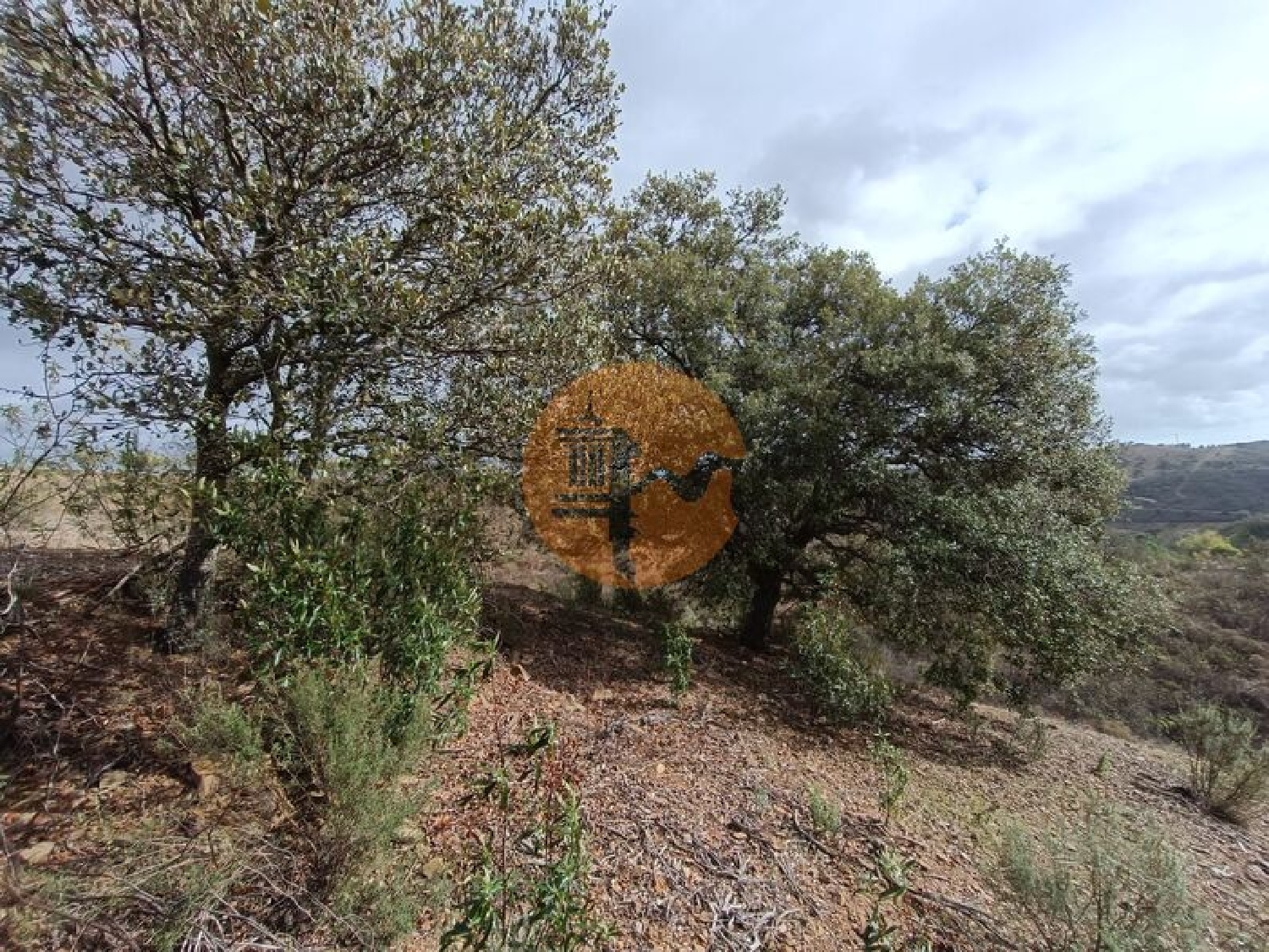  te koop terrein Azinhal Albufeira 6