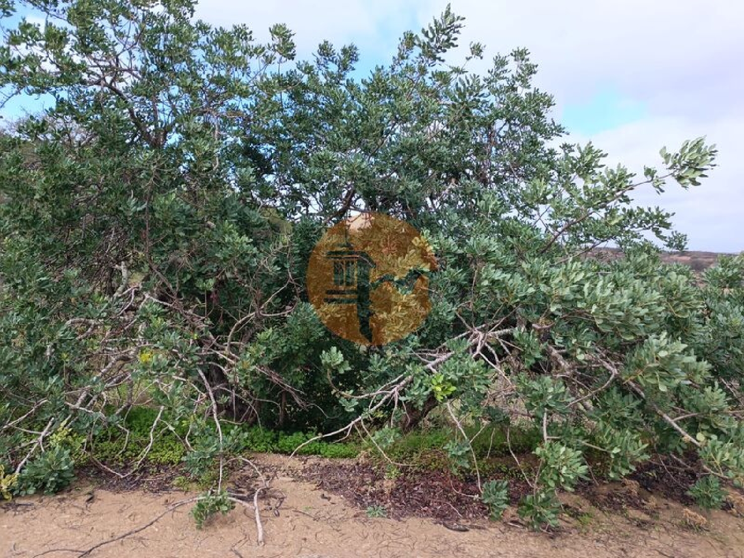  te koop terrein Azinhal Albufeira 1
