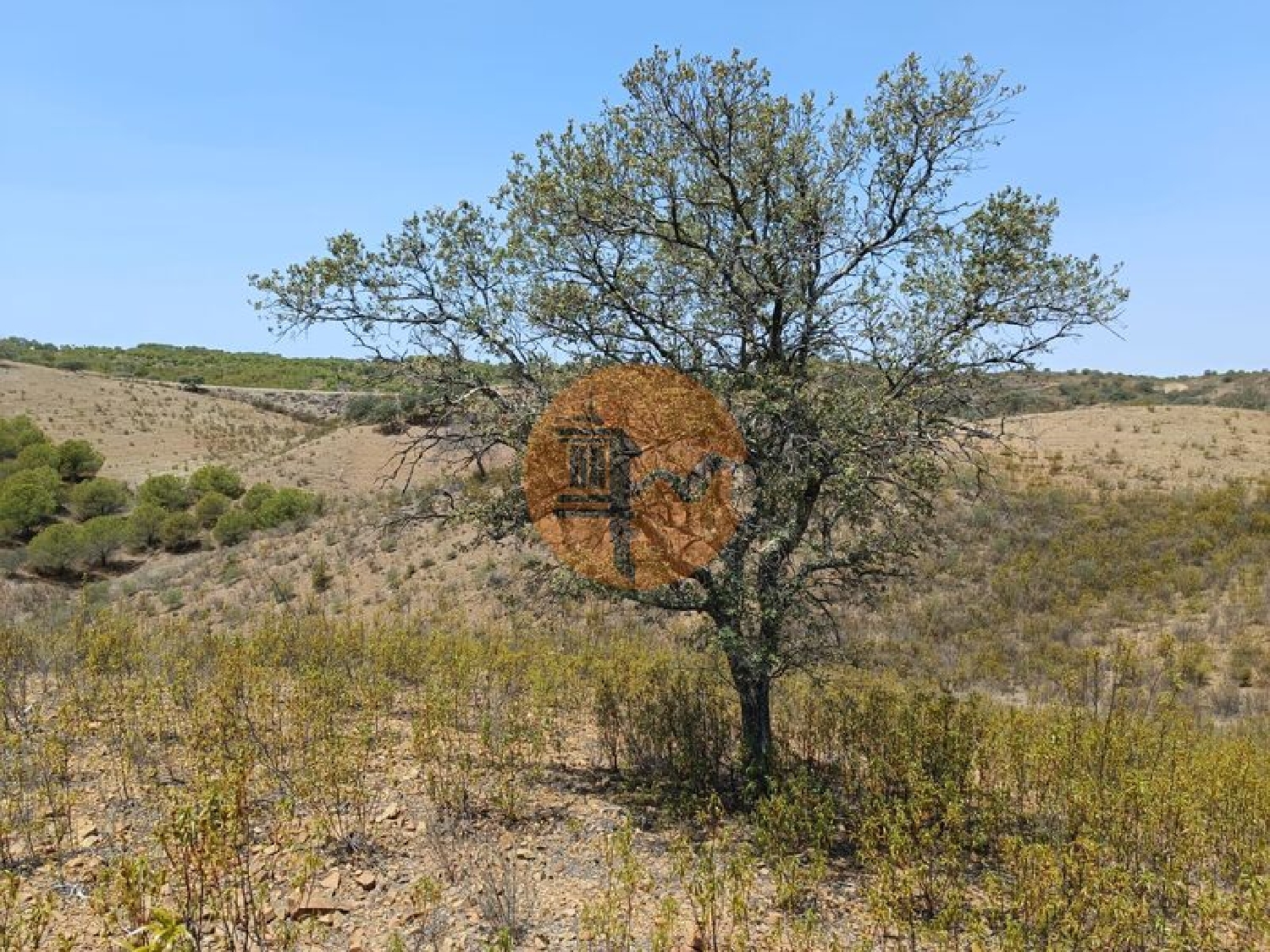 te koop terrein Azinhal Albufeira 3