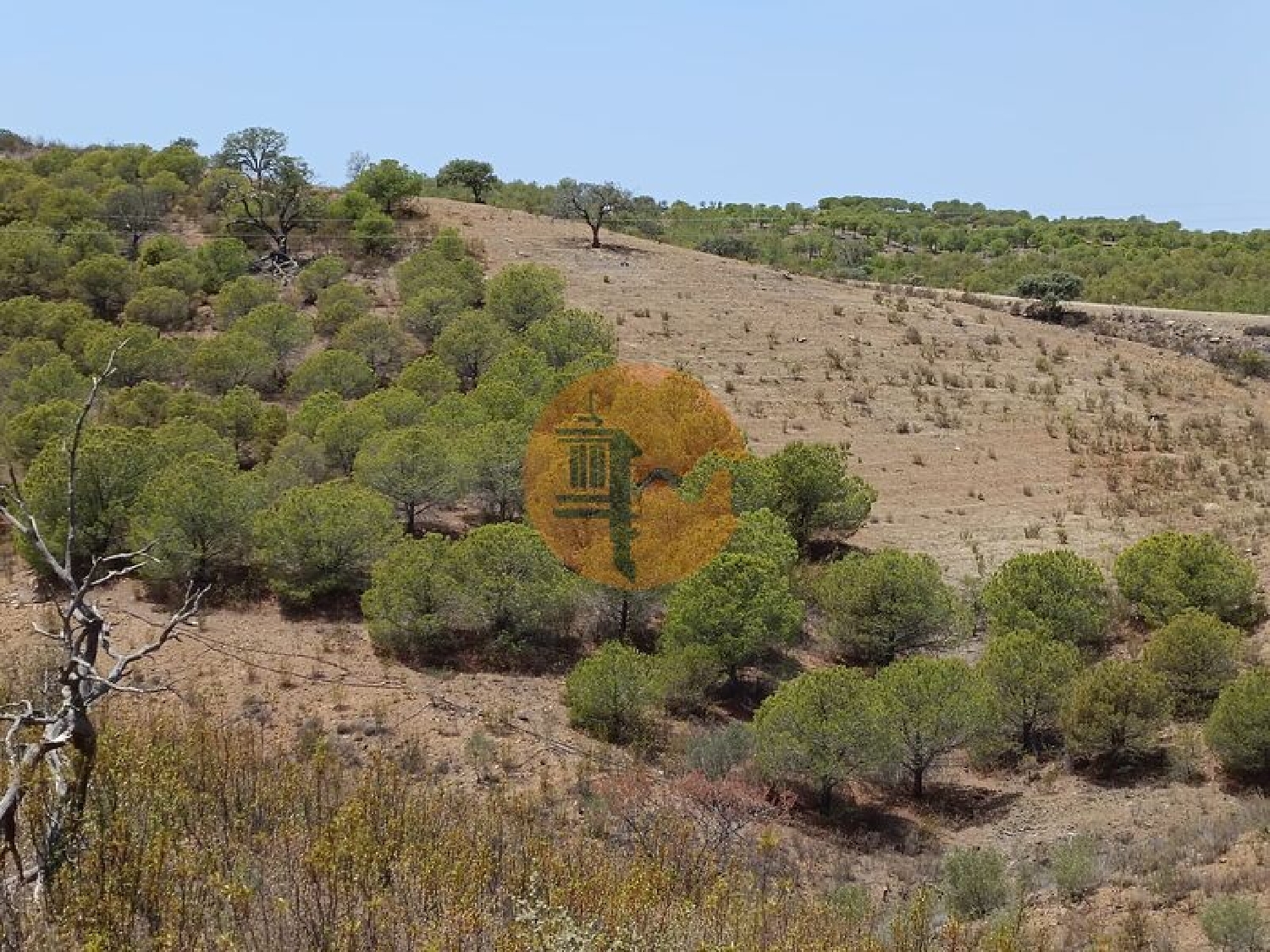  te koop terrein Azinhal Albufeira 4