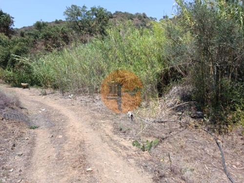 Azinhal Albufeira tomt foto 329720