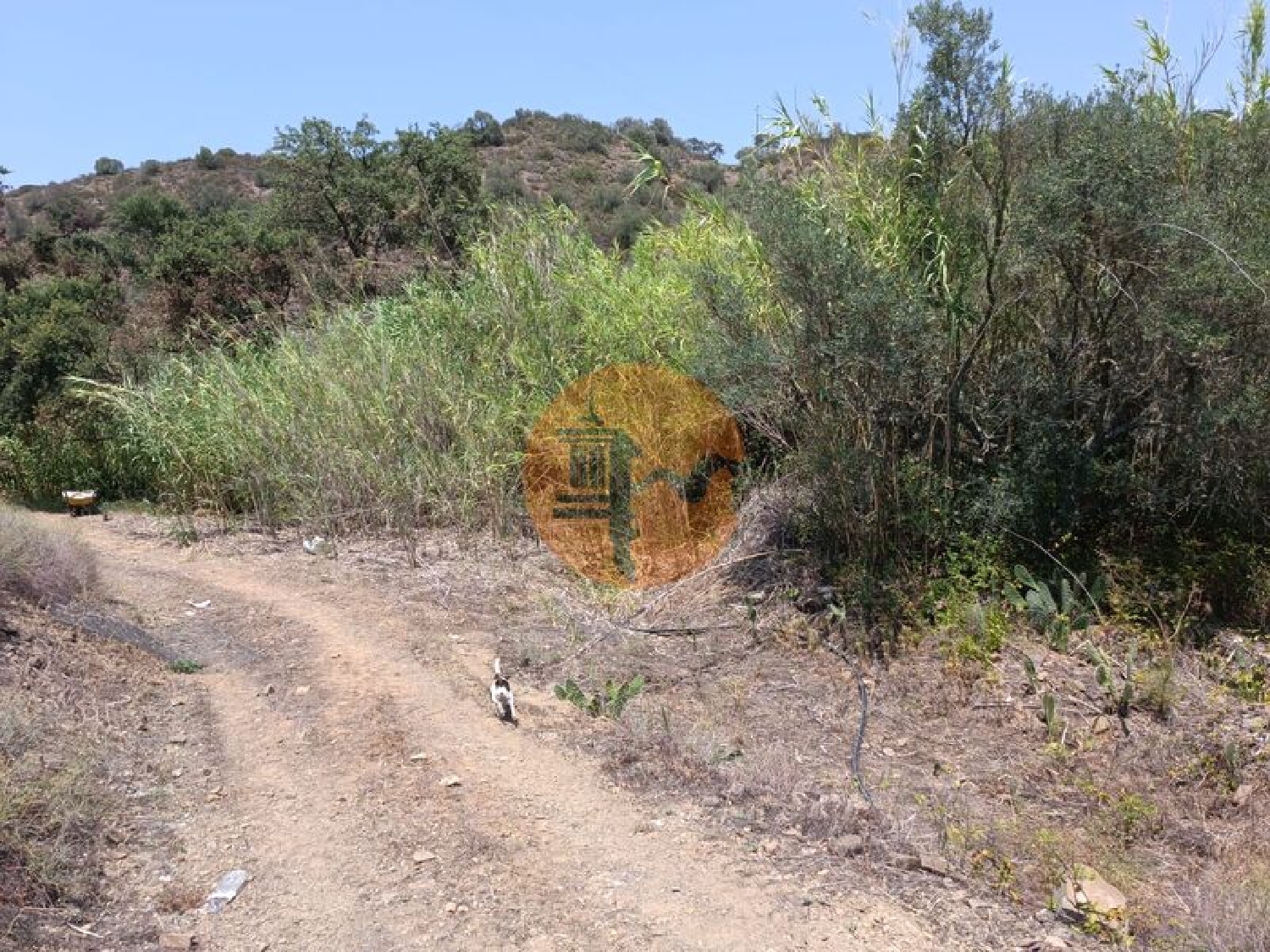  köpa tomt Azinhal Albufeira 3
