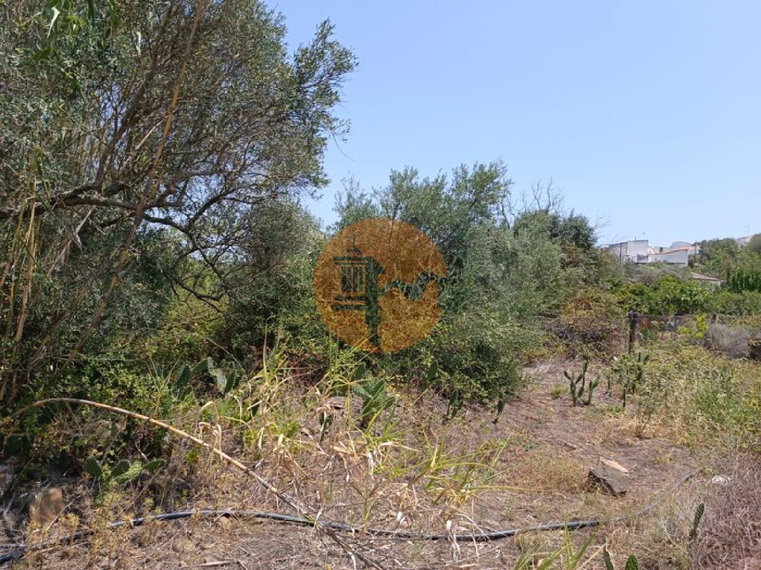  köpa tomt Azinhal Albufeira 6