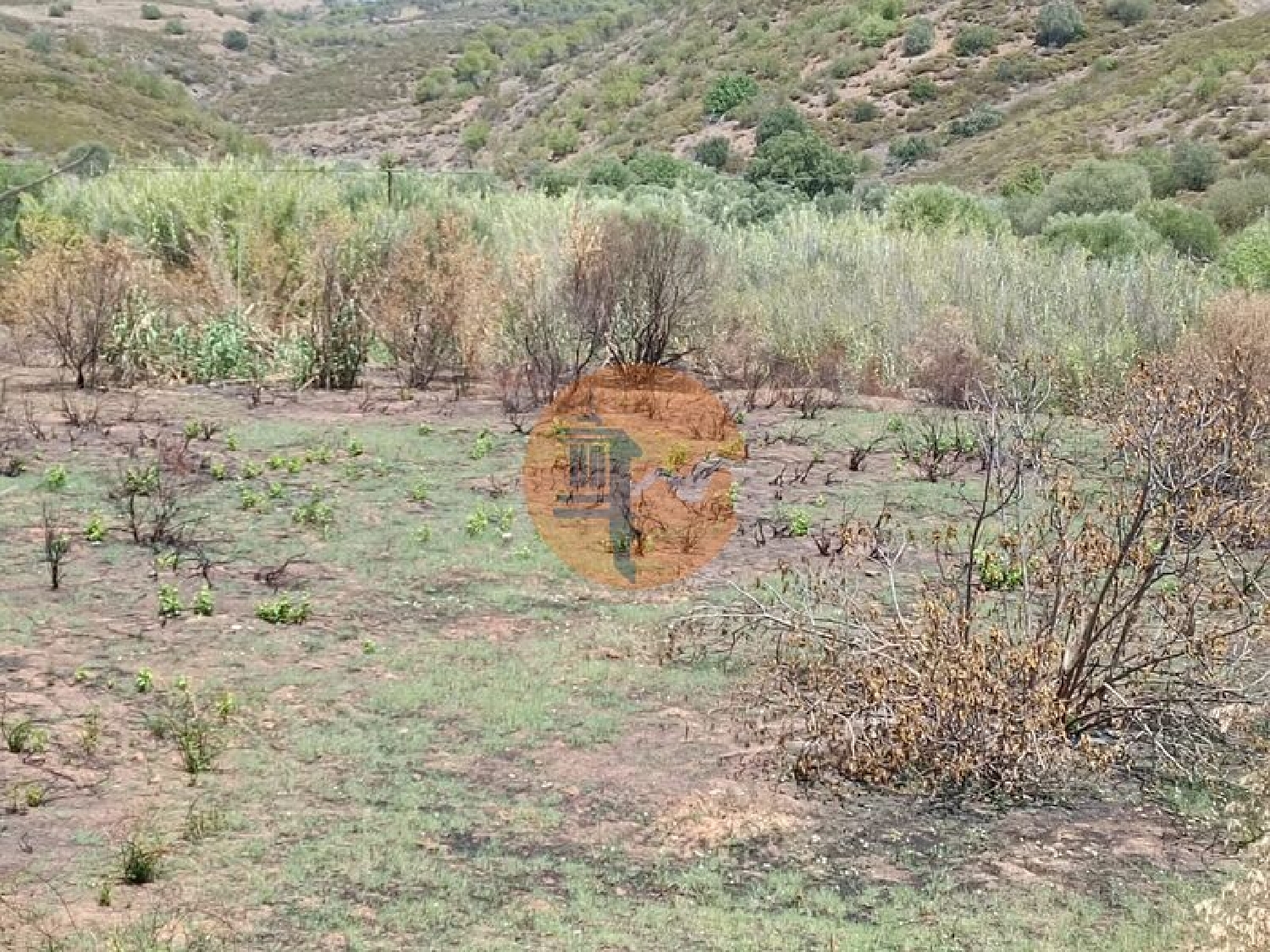  köpa tomt Azinhal Albufeira 4