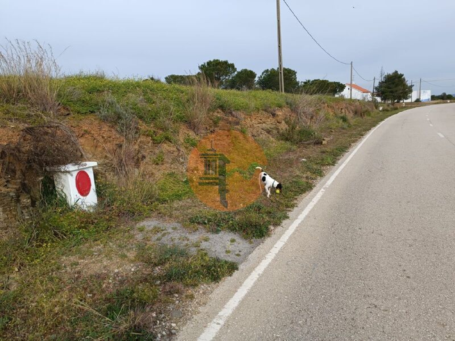 köpa tomt Azinhal Albufeira 3