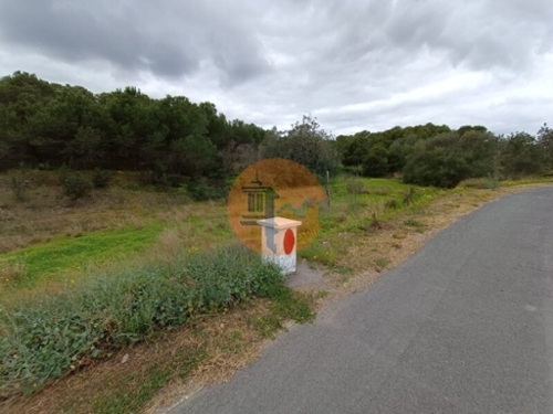 Azinhal Albufeira terrein foto