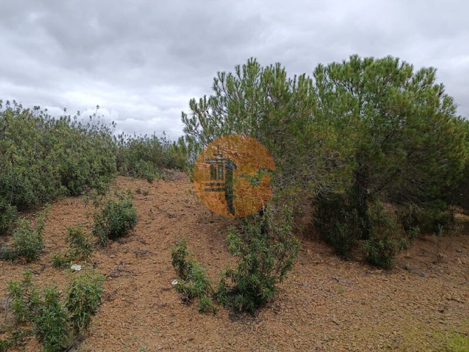  te koop terrein Azinhal Albufeira 3