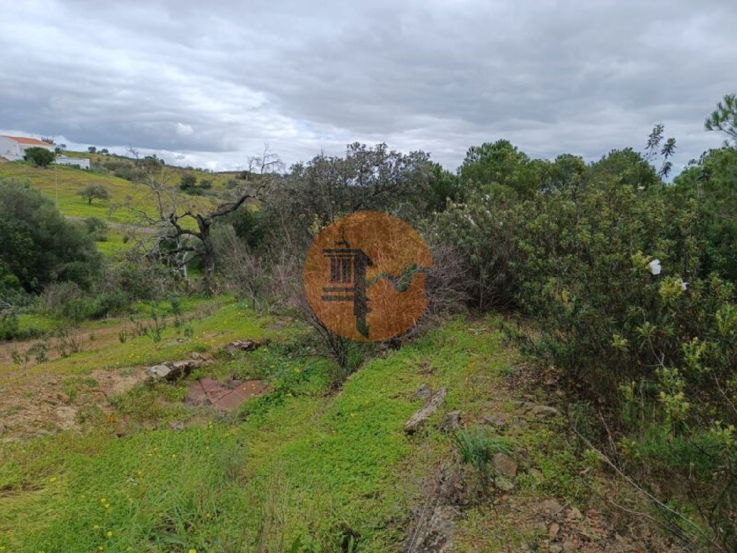  te koop terrein Azinhal Albufeira 7