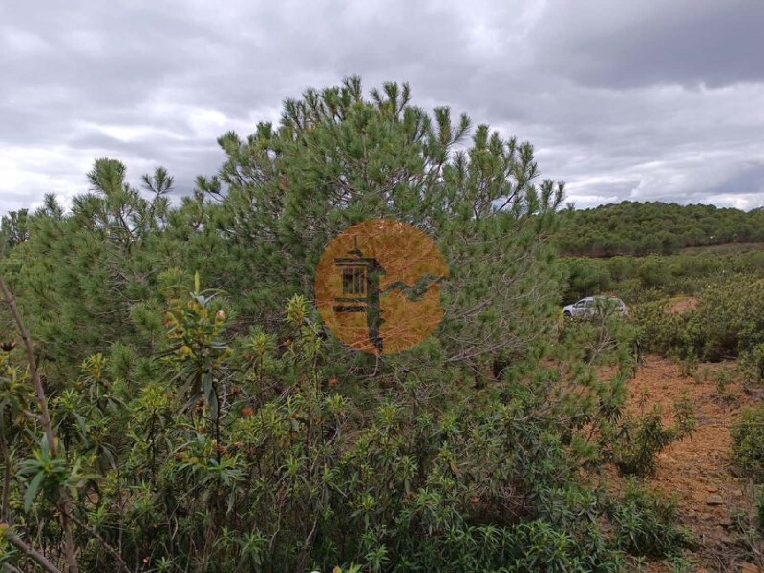  te koop terrein Azinhal Albufeira 8