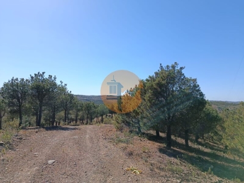 Azinhal Albufeira terrein foto