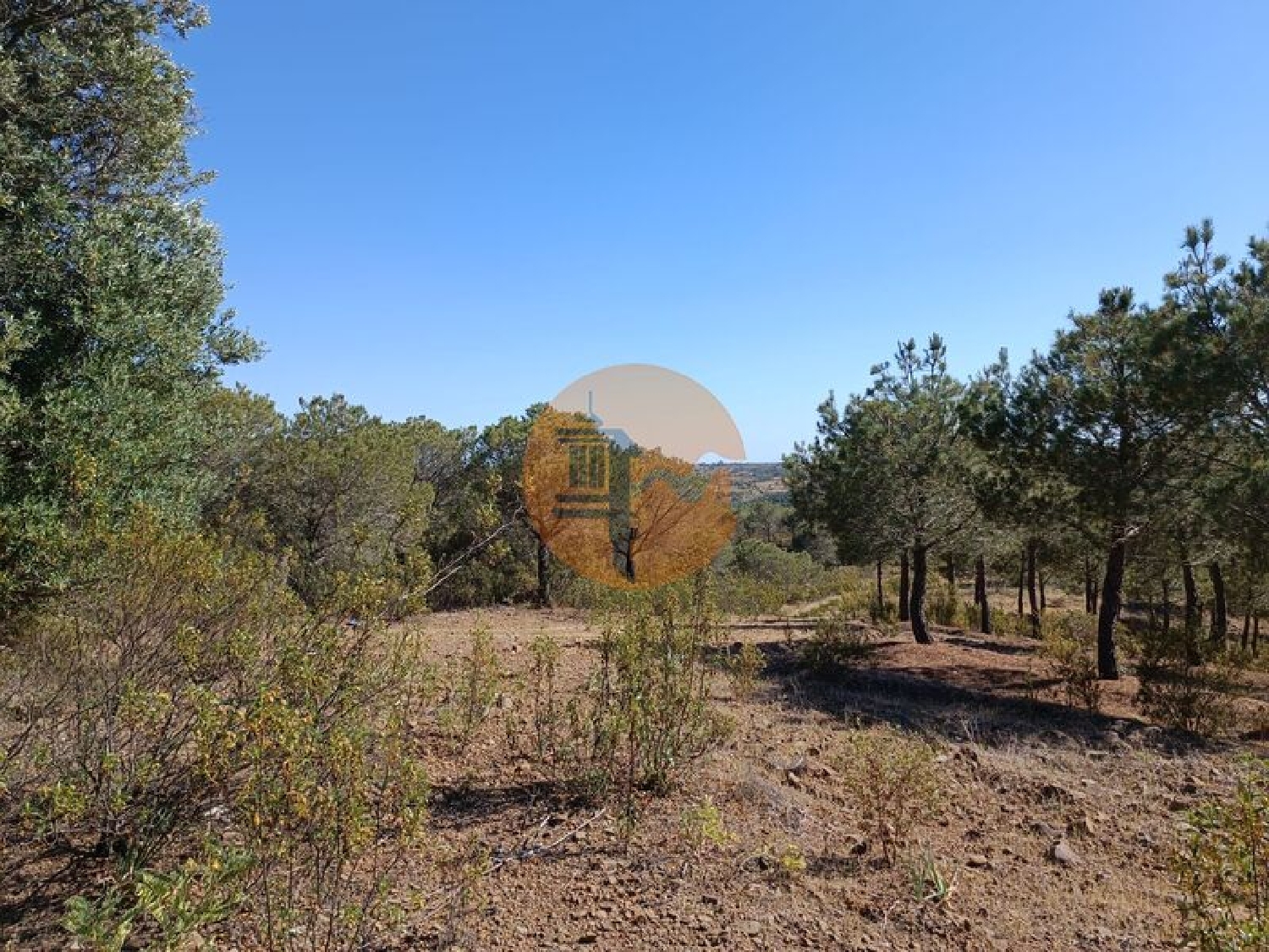  te koop terrein Azinhal Albufeira 8