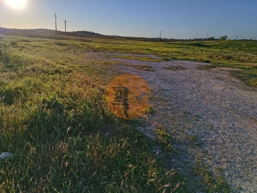 Azinhal Albufeira terrain foto