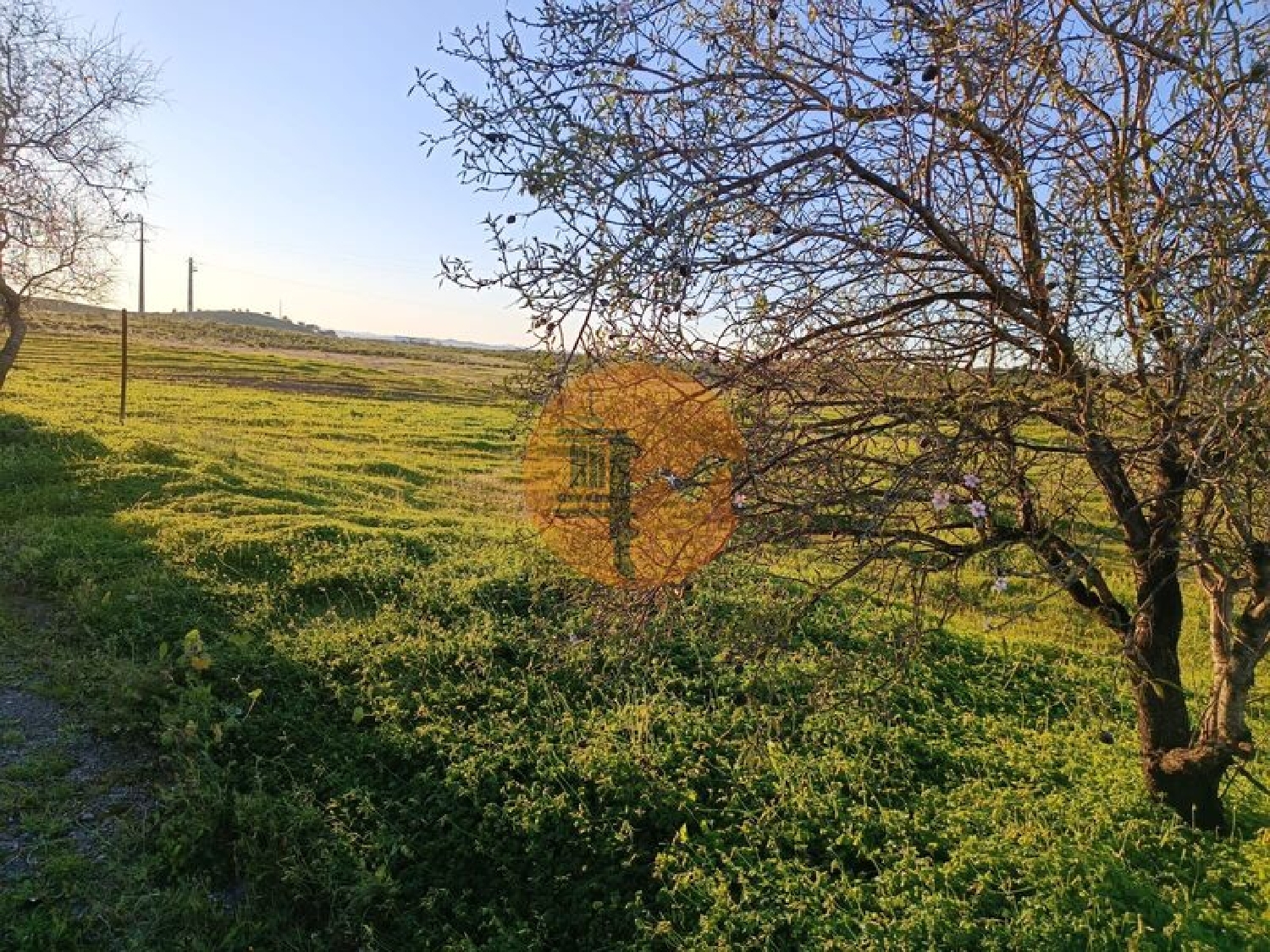 à vendre terrain Azinhal Albufeira 8