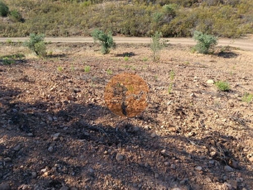 Azinhal Albufeira terrain foto