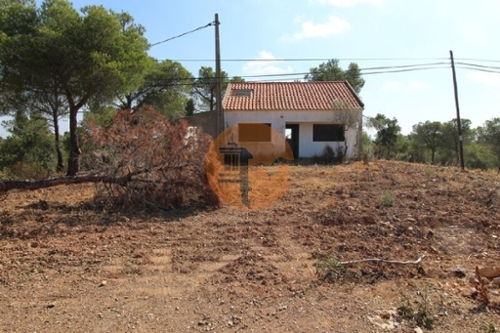 Azinhal Albufeira terrein foto 329758
