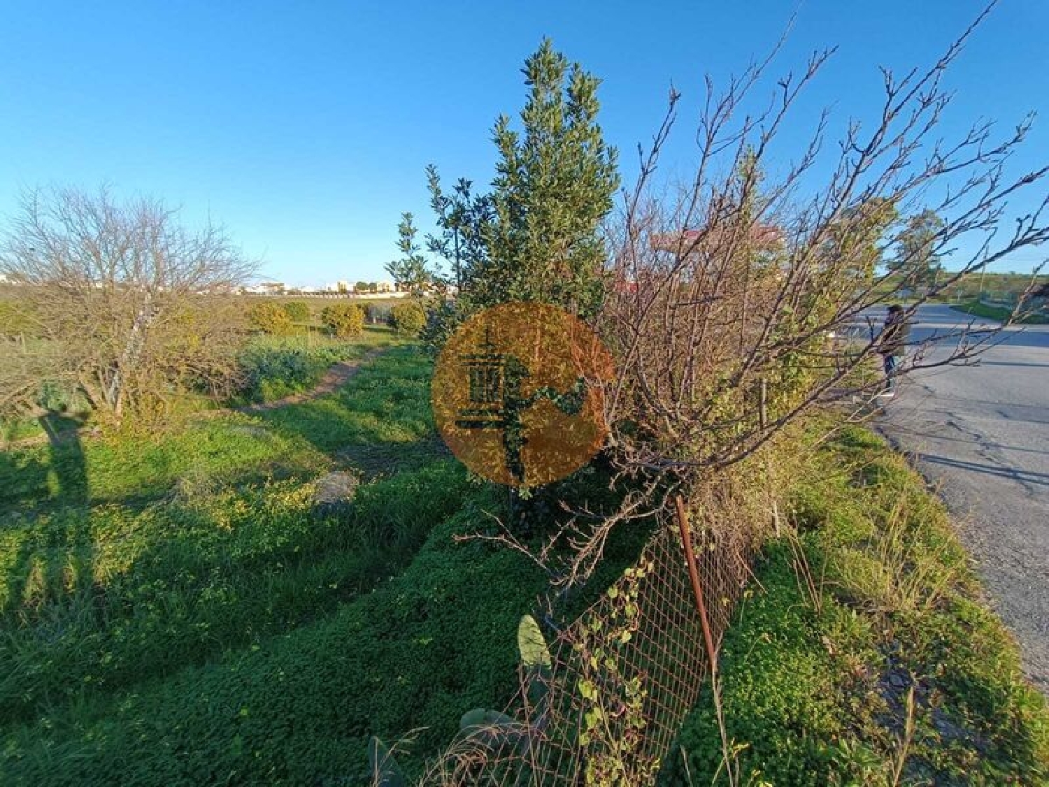  te koop terrein Azinhal Albufeira 2