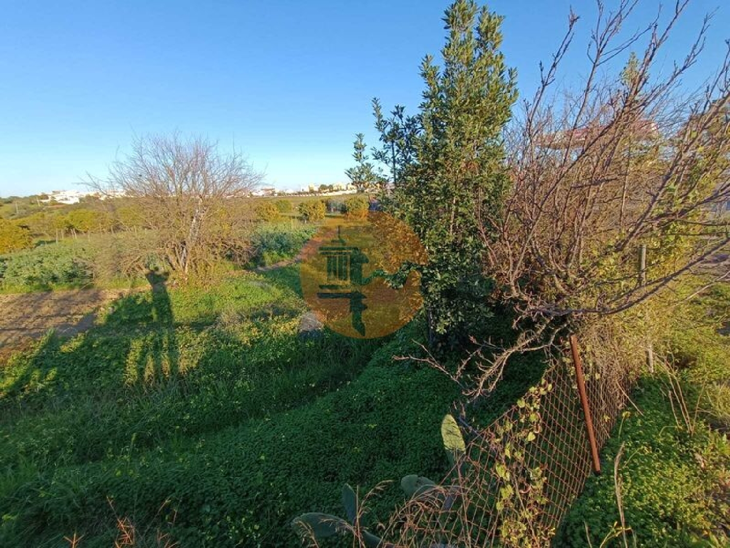  te koop terrein Azinhal Albufeira 6