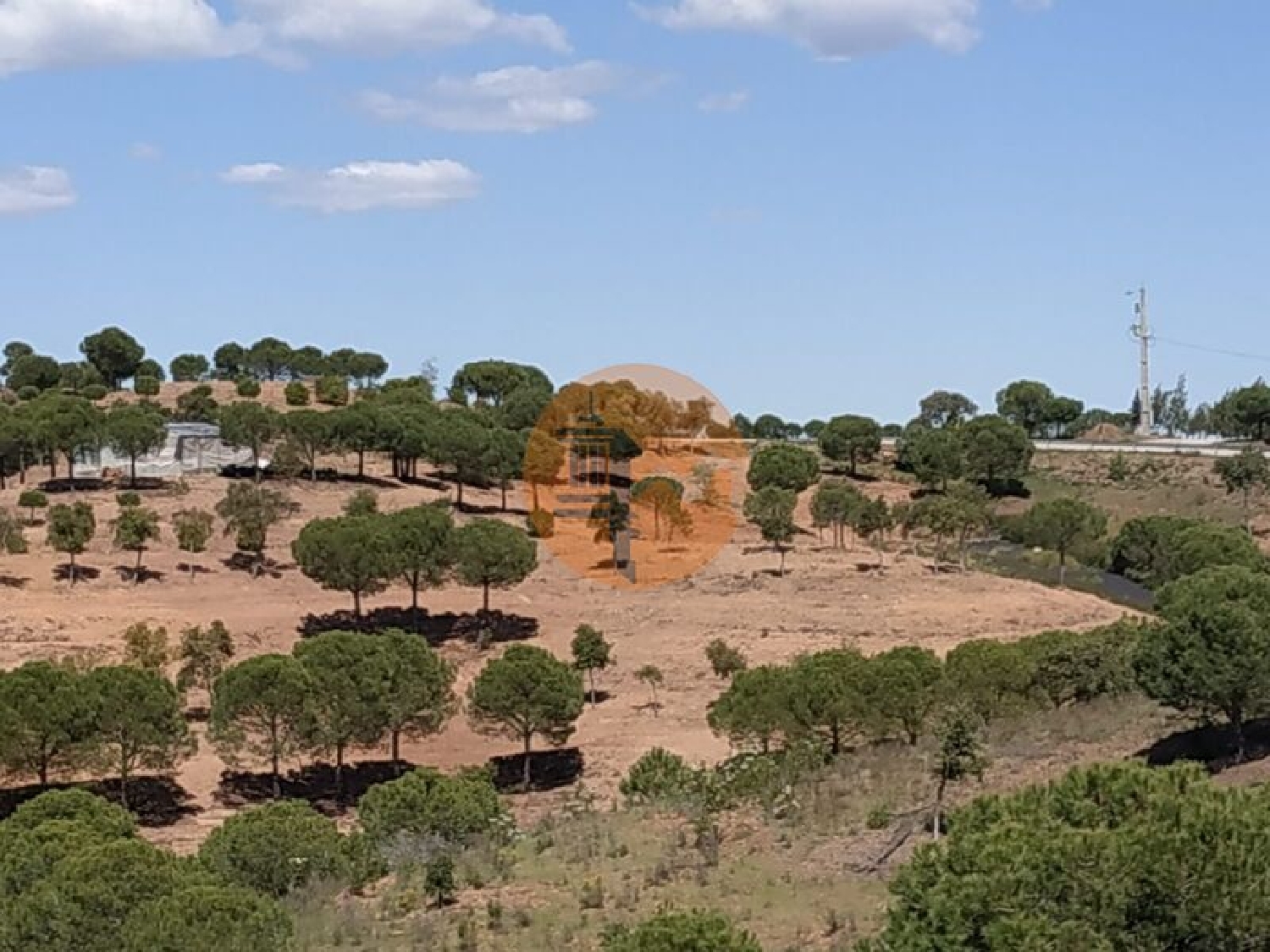  à vendre terrain Azinhal Albufeira 1