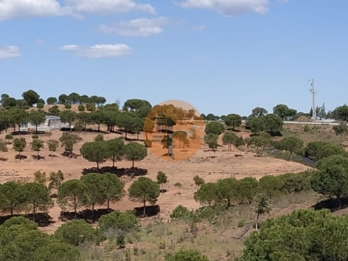 Azinhal Albufeira terrain foto 329918