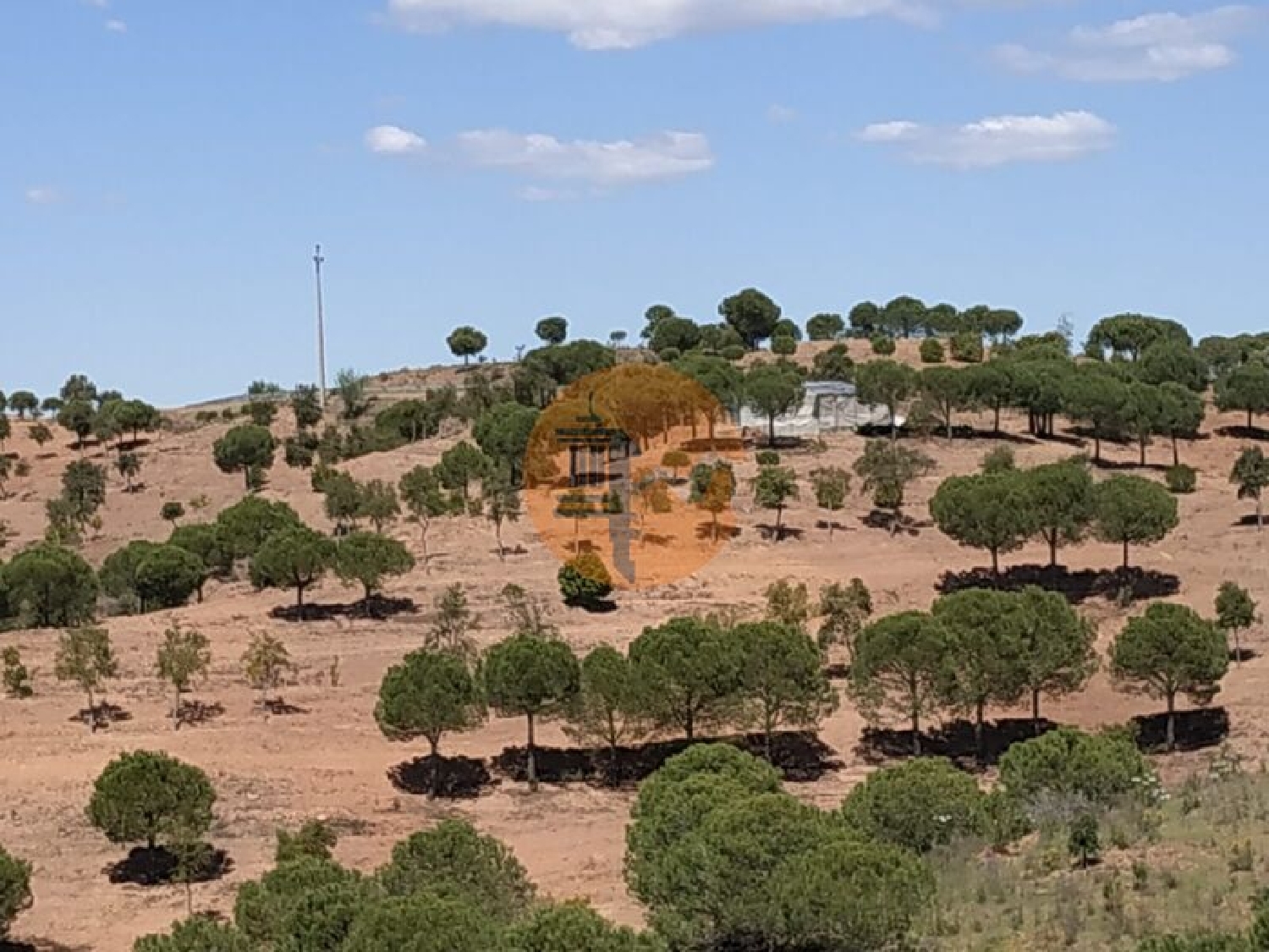  à vendre terrain Azinhal Albufeira 5