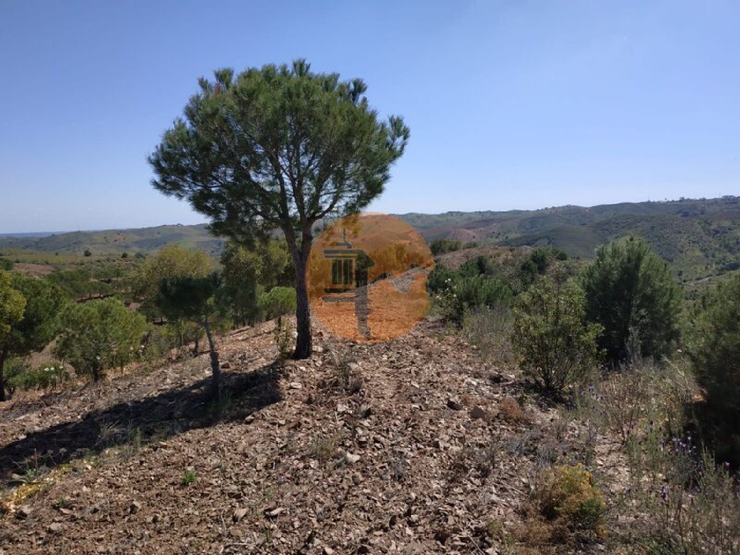  à vendre terrain Azinhal Albufeira 6