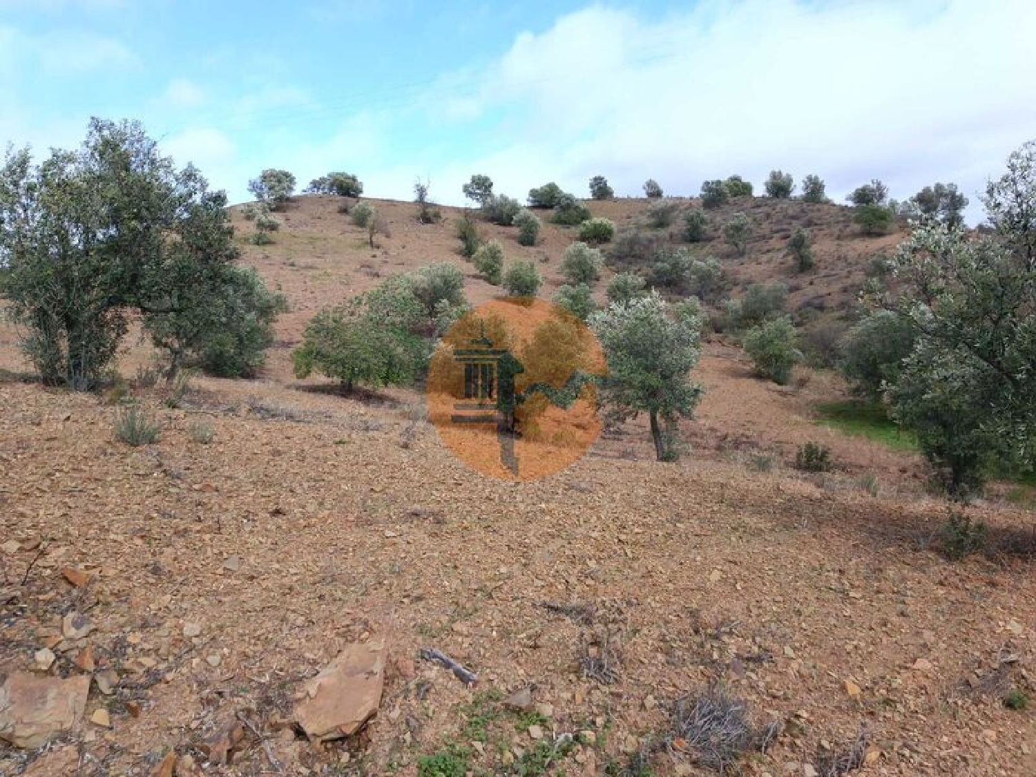  à vendre terrain Azinhal Albufeira 4