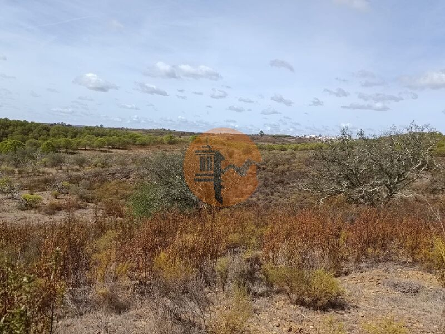  à vendre terrain Azinhal Albufeira 5