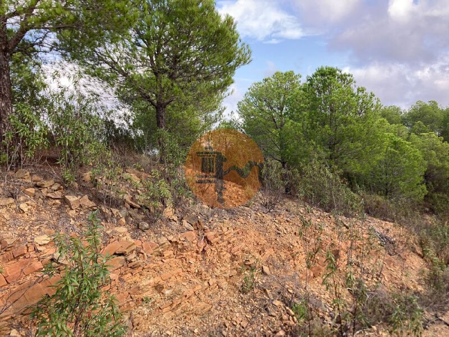  en venta terreno Azinhal Albufeira 5