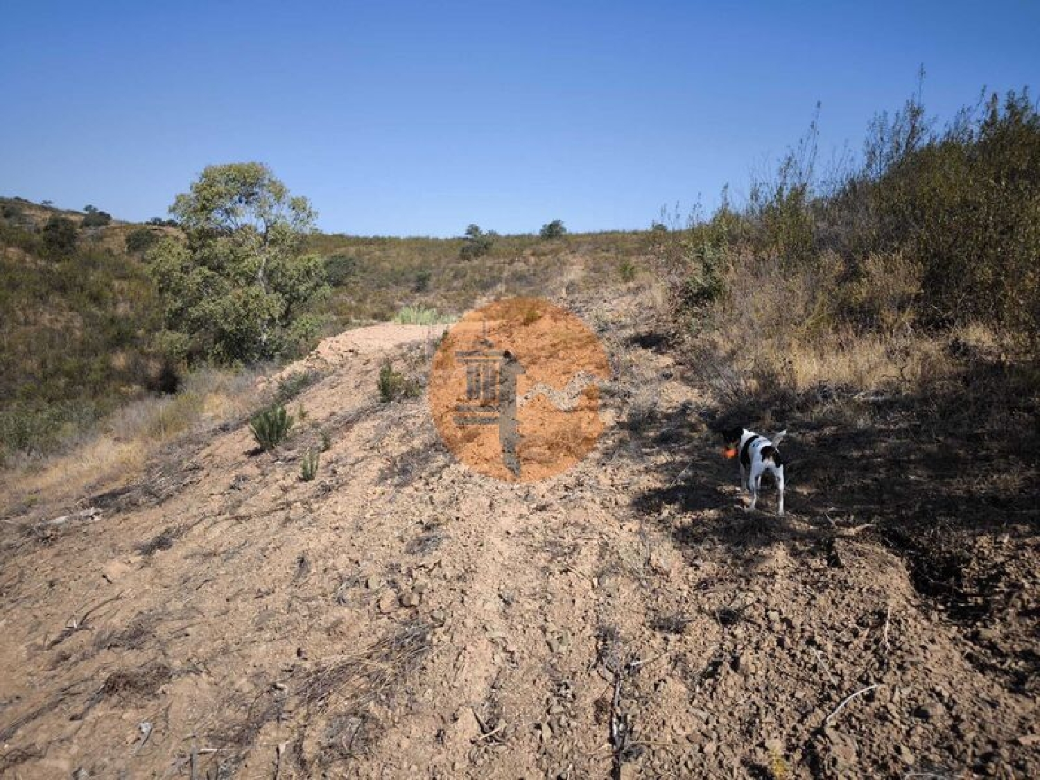  en venta terreno Azinhal Albufeira 4