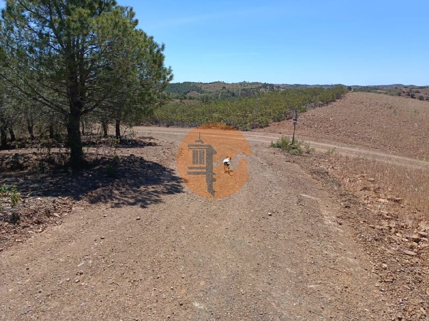 en venta terreno Azinhal Albufeira 3