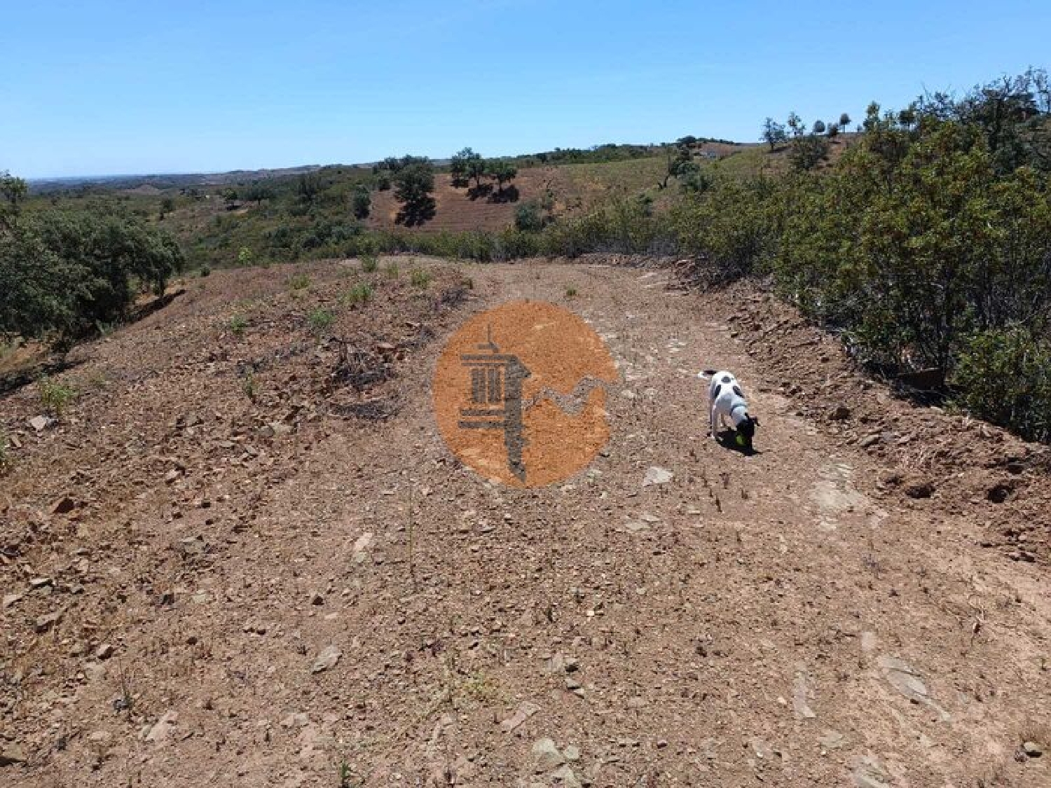  en venta terreno Azinhal Albufeira 2