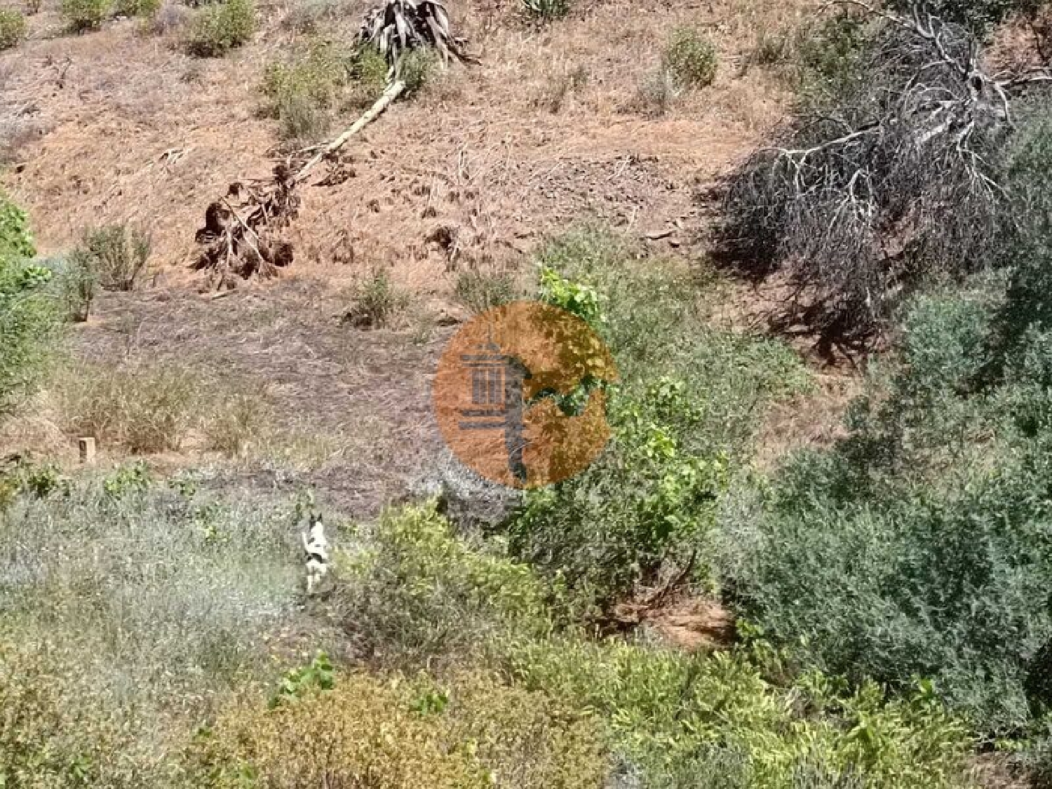  en venta terreno Azinhal Albufeira 4