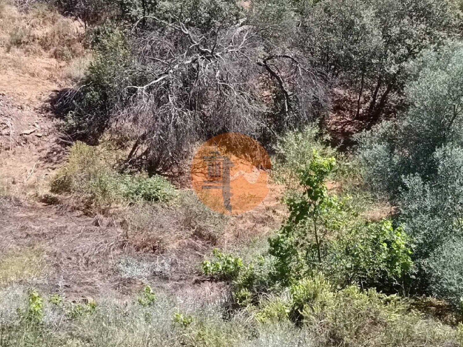  en venta terreno Azinhal Albufeira 5
