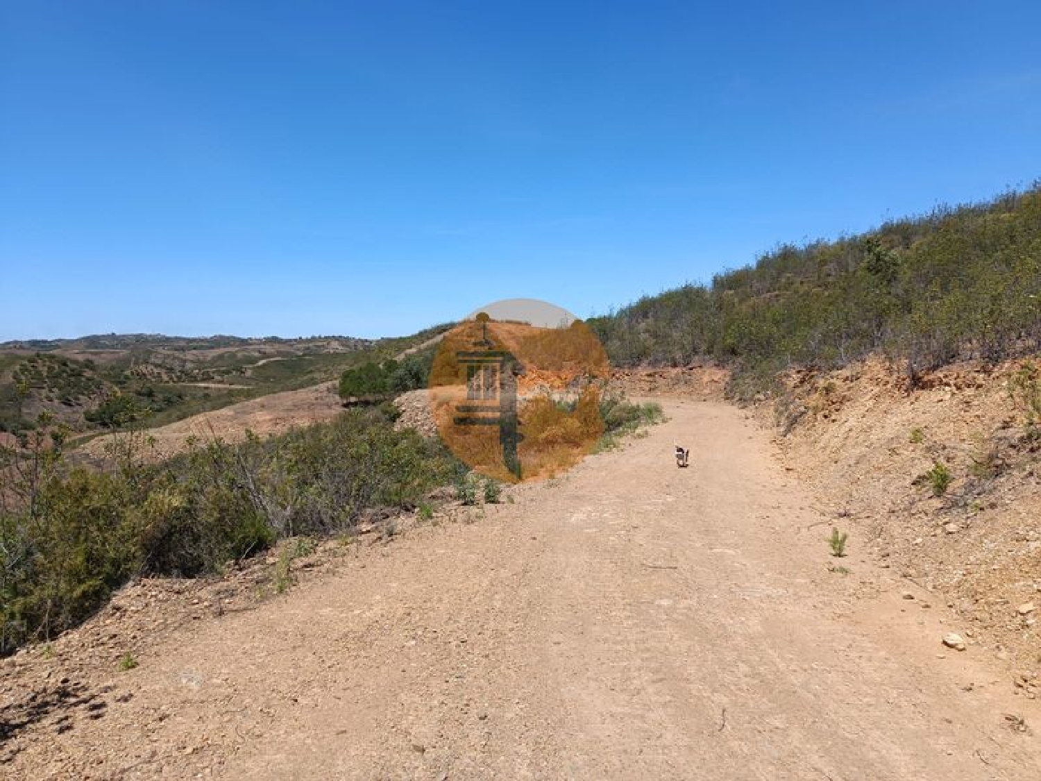  en venta terreno Azinhal Albufeira 6