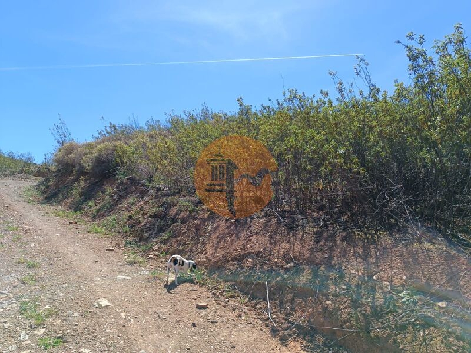  en venta terreno Azinhal Albufeira 7