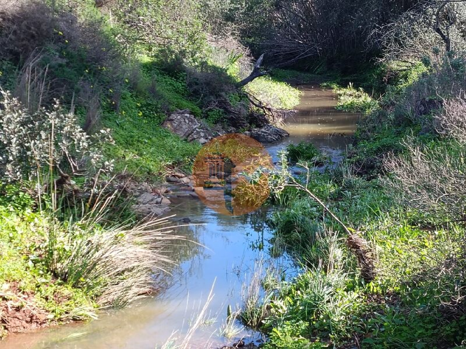  for sale terrain Azinhal Albufeira 5