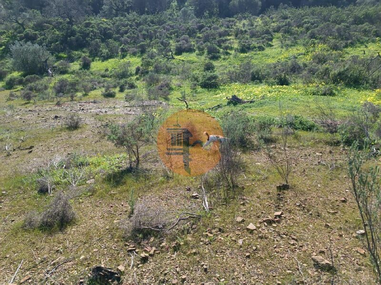  for sale terrain Azinhal Albufeira 6