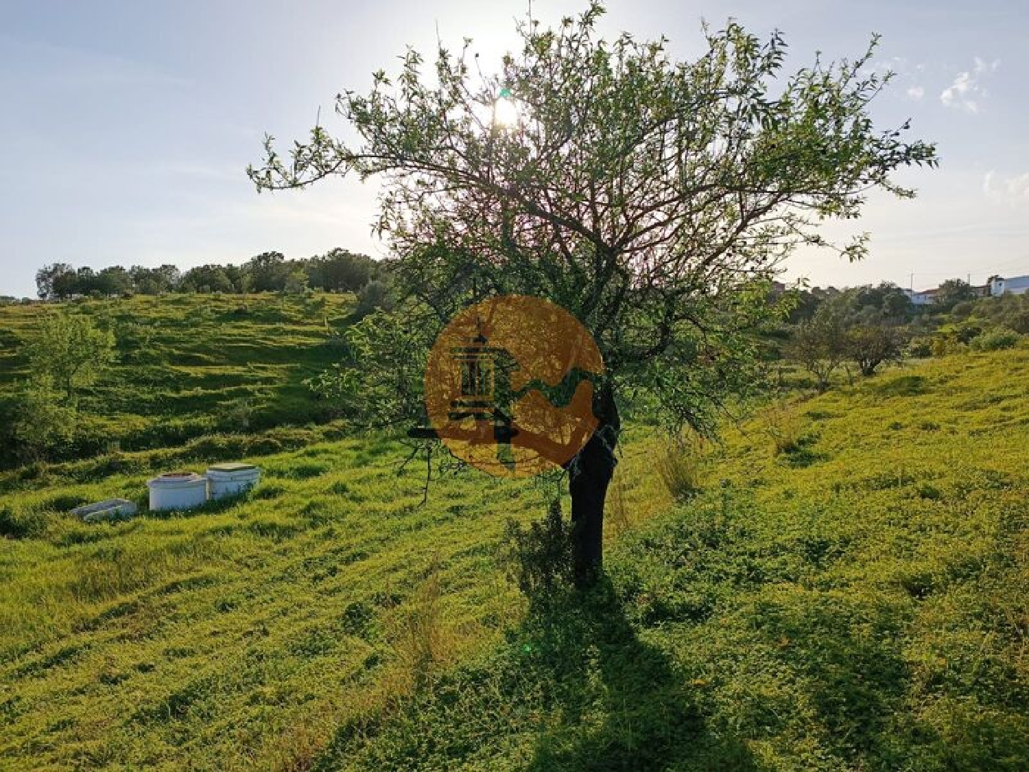  kaufen Grundstück Azinhal Albufeira 6